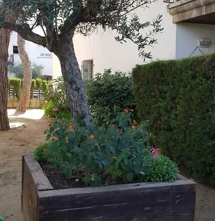 Apartment Calella De